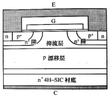 平面柵p溝IGBT元胞結構示意圖